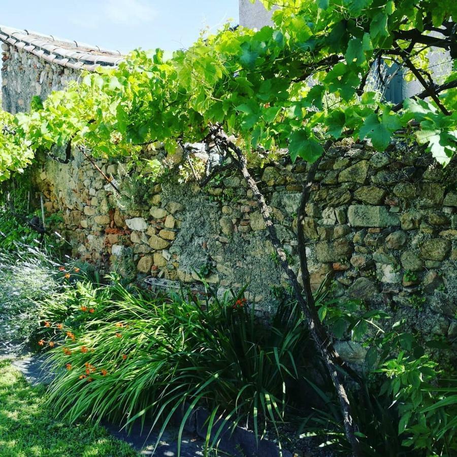 Gite Maison De L'Abbe Sorèze Dış mekan fotoğraf