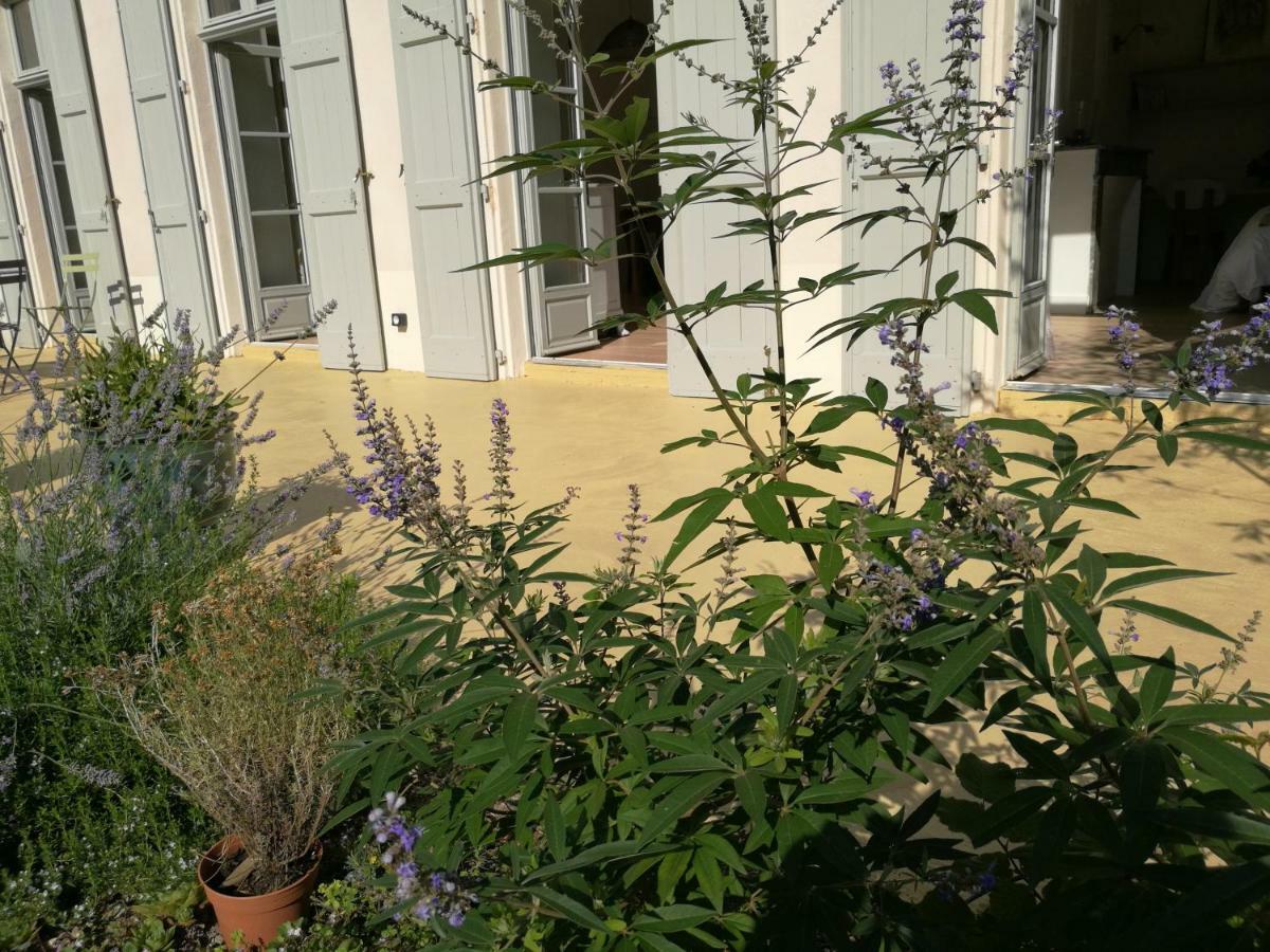 Gite Maison De L'Abbe Sorèze Dış mekan fotoğraf